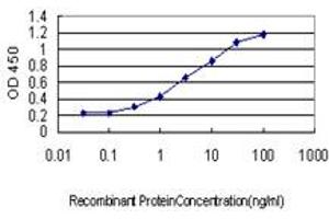 Detection limit for recombinant GST tagged NODAL is approximately 0. (Nodal Antikörper  (AA 275-346))
