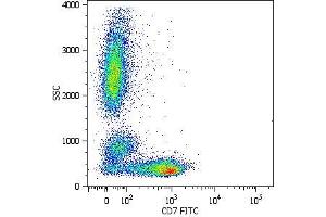 Surface staining of human peripheral blood cells with anti-human CD7 (MEM-186) FITC. (CD7 Antikörper)