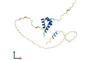 Protein Structure (PS) image for SEBOX Homeobox (SEBOX) (AA 1-190) protein (His tag) (ABIN7556707)