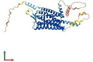 Protein Structure (PS) image for Hypocretin (Orexin) Receptor 1 (HCRTR1) (AA 1-425) protein (His tag) (ABIN7550479)