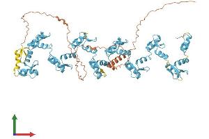AlphaFold protein structure predicition of Human Recombinant ZNF600 Protein, UniprotID Q6ZNG1