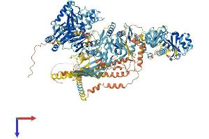 AlphaFold protein structure predicition of Human Recombinant ERVK-7 Protein, UniprotID P63135