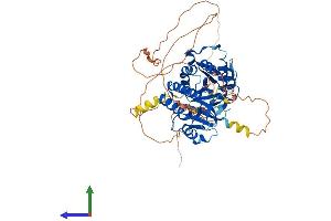 AlphaFold protein structure predicition of Human Recombinant PIP5K1B Protein, UniprotID O14986 (PIP5K1B Protein (AA 1-540) (His tag))