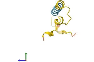 AlphaFold protein structure predicition of Human Recombinant SNHG12 Protein, UniprotID Q9BXW3