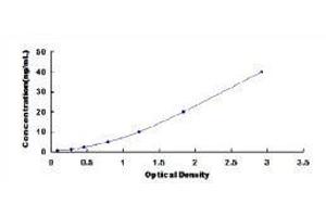 Toll-Like Receptor 4 (TLR4) ELISA Kit