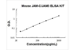 Junctional Adhesion Molecule 3 (JAM3) ELISA Kit
