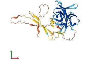 Protein Structure (PS) image for Interleukin 33 (IL33) (AA 1-270) protein (His tag) (ABIN7554145)