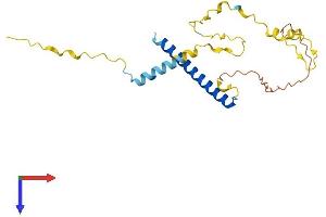 AlphaFold protein structure predicition of Human Recombinant MBD3L3 Protein, UniprotID A6NE82
