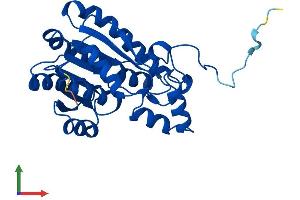 Protein Structure (PS) image for Hydroxysteroid (17-Beta) Dehydrogenase 14 (HSD17B14) (AA 1-270) protein (His tag) (ABIN7547111)