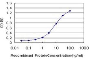 Detection limit for recombinant GST tagged UCKL1 is approximately 0. (UCKL1 Antikörper  (AA 301-400))