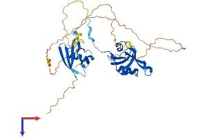 PARD6B Protein (AA 1-371) (His tag)