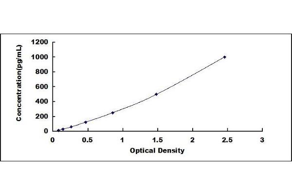 IFNA4 ELISA Kit