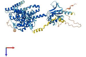 SLC26A1 Protein (AA 1-701) (His tag)