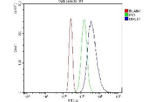 Flow Cytometry analysis of HL-60 cells using anti-MRE11 antibody (ABIN7600025). (Mre11 Antikörper  (AA 14-481))