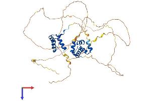 ONECUT1 Protein (AA 1-465) (His tag)