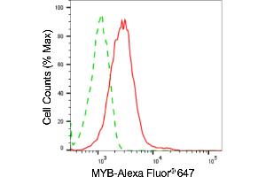 anti-V-Myb Myeloblastosis Viral Oncogene Homolog (Avian) (MYB) antibody