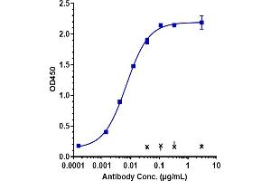 Immobilized human ALCAM His at 2 μg/mL can bind Anti-ALCAM / CD166 Reference Antibody (praluzatamab), EC50=0.
