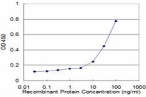 Detection limit for recombinant GST tagged FOXO1A is approximately 3ng/ml as a capture antibody. (FOXO1 Antikörper  (AA 556-655))