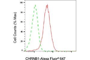 Flow cytometric analysis of CHRNB1 expression in HAP-1 cells using CHRNB1 antibody (ABIN7799596), 1:2,000). (Rekombinanter CHRNB1 Antikörper)