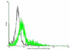 Flow Cytometry (FACS) image for anti-G Protein-Coupled Receptor Kinase Interactor 2 (GIT2) (AA 1-471) antibody (ABIN523246)