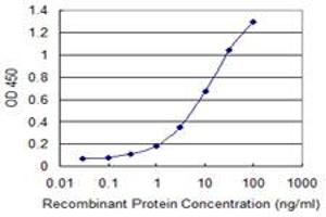 Detection limit for recombinant GST tagged MYCBP is 0. (MYCBP Antikörper  (AA 34-103))