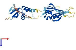 KCNRG Protein (AA 1-264) (His tag)