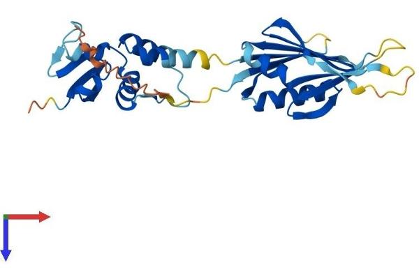 KCNRG Protein (AA 1-264) (His tag)