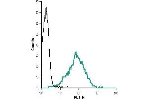 Cell surface detection of Nectin-2 in live intact human Jurkat T cell leukemia cells: (black line) Cells + goat-anti-rabbit-Alexa-488. (Nectin-2 Antikörper  (Extracellular, N-Term))