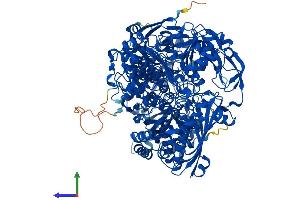 AlphaFold protein structure predicition of Mouse Recombinant Aox3 Protein, UniprotID G3X982