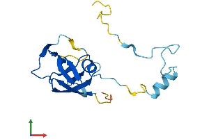 AlphaFold protein structure predicition of Human Recombinant ERVK-8 Protein, UniprotID P63122