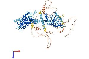 CNGB3 Protein (AA 1-694) (His tag)