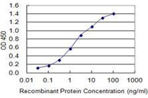 Detection limit for recombinant GST tagged MYT1L is 0. (MYT1L Antikörper  (AA 301-410))