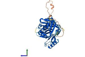 Protein Structure (PS) image for Plasminogen Activator Inhibitor 2 (SERPINB2) (AA 1-415) protein (His tag) (ABIN7550490)
