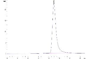 Size-exclusion chromatography-High Pressure Liquid Chromatography (SEC-HPLC) image for Leukocyte-Associated Immunoglobulin-Like Receptor 2 (LAIR2) (AA 22-152) protein (His-Avi Tag) (ABIN7275120)