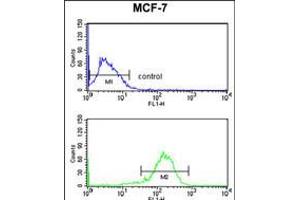 Flow cytometry analysis of MCF-7 cells (bottom histogram) compared to a negative control cell (top histogram). (IL-10RA Antikörper  (AA 147-175))