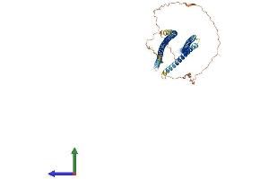 Protein Structure (PS) image for Keratin 14 (KRT14) (AA 1-484) protein (His tag) (ABIN7557737)