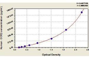 Typical Standard Curve (CCR2 ELISA Kit)