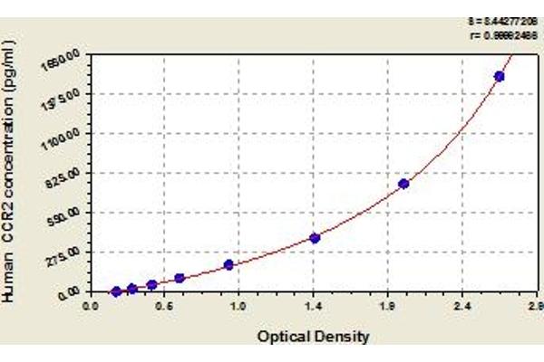 CCR2 ELISA Kit