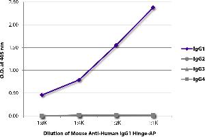 ELISA plate was coated with purified human IgG1, IgG2, IgG3, and IgG4. (Maus anti-Human IgG1 (Hinge Region) Antikörper (Alkaline Phosphatase (AP)))