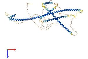SSX2IP Protein (AA 1-615) (His tag)