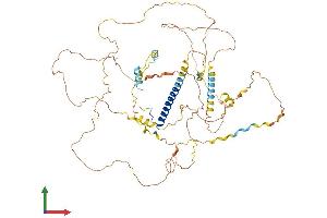 Protein Structure (PS) image for CREB Regulated Transcription Coactivator 1 (CRTC1) (AA 1-630) protein (His tag) (ABIN7564004)