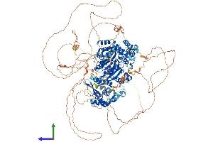 Protein Structure (PS) image for Bloom Syndrome RecQ Like Helicase (BLM) (AA 1-1417) protein (His tag) (ABIN7552673)