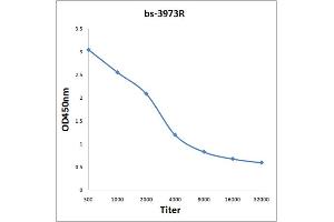 ELISA image for anti-Ubiquinol-Cytochrome C Reductase Core Protein II (UQCRC2) (AA 21-120) antibody (ABIN751948)
