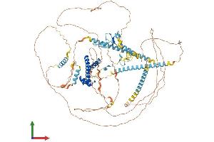 AlphaFold protein structure predicition of Mouse Recombinant Taf3 Protein, UniprotID Q5HZG4