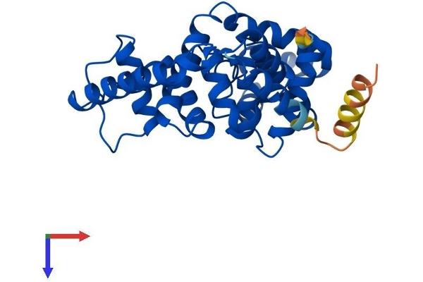 TBC1D7 Protein (AA 1-293) (His tag)