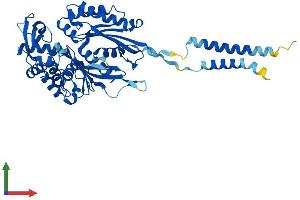 Protein Structure (PS) image for Ectonucleoside Triphosphate diphosphohydrolase 2 (ENTPD2) (AA 1-495) protein (His tag) (ABIN7547451)