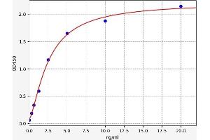 Typical standard curve (PKC alpha ELISA Kit)