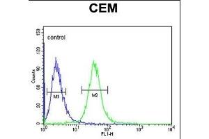 SMYD3 Antibody (Center) (ABIN6242627 and ABIN6578989) flow cytometric analysis of CEM cells (right histogram) compared to a negative control cell (left histogram). (SMYD3 Antikörper  (AA 209-236))