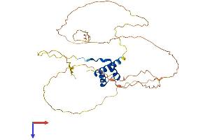 OTX1 Protein (AA 1-355) (His tag)