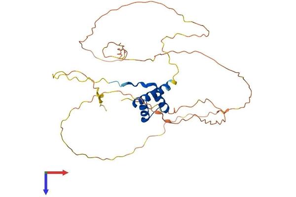 OTX1 Protein (AA 1-355) (His tag)